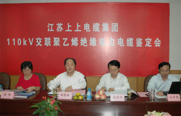 新宝GG额定电压110kV交联聚乙烯绝缘电力电缆产品通过判断