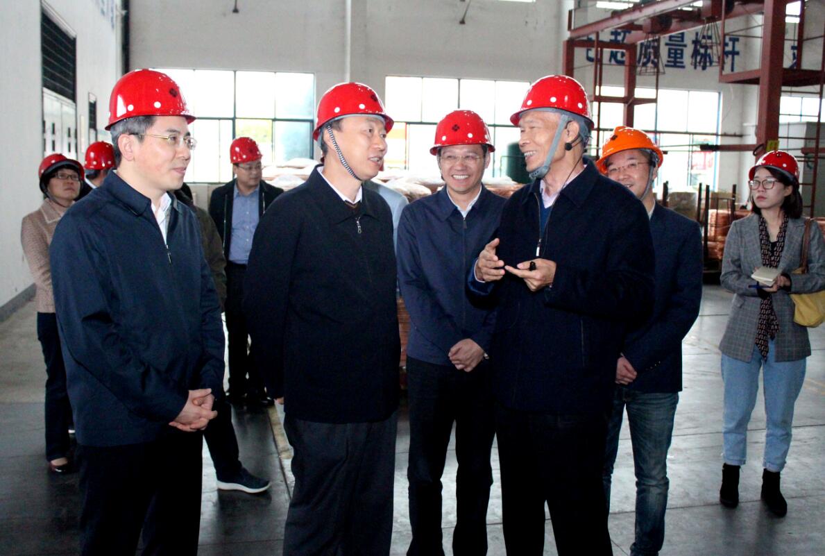 江苏省副省长马秋林一行来新宝GG电缆调研