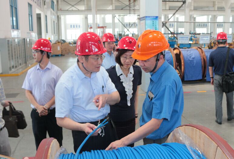 2016年7月22日，，，，，泸州市委常委、副市长王建翔一行来新宝GG电缆旅行考察