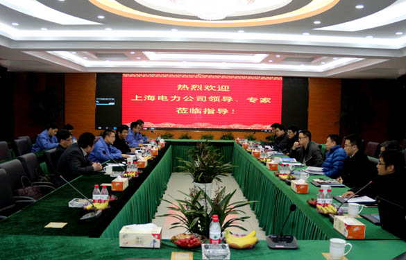 上海电力公司、上缆所向导、专家一行来新宝GG电缆交流考察
