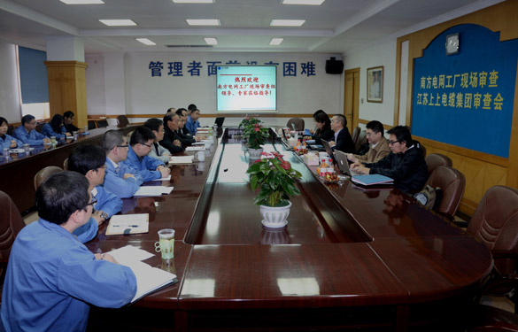 新宝GG电缆顺遂通过南方电网公司工厂现场审查