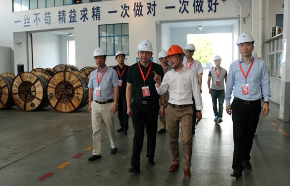 靖江市、溧阳市青商会齐聚新宝GG电缆旅行交流