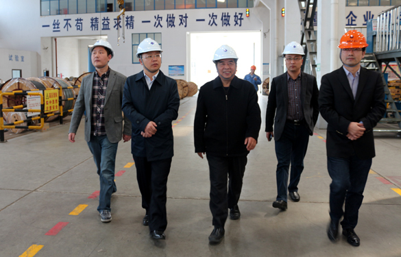 2015年3月26日，，江苏省射阳县向导一行来新宝GG电缆视察