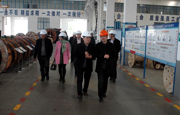 2015年3月13日，，金坛市经信局向导一行来新宝GG电缆考察