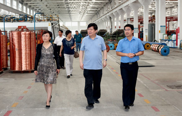 常州市新北区人大向导一行来新宝GG集团调研