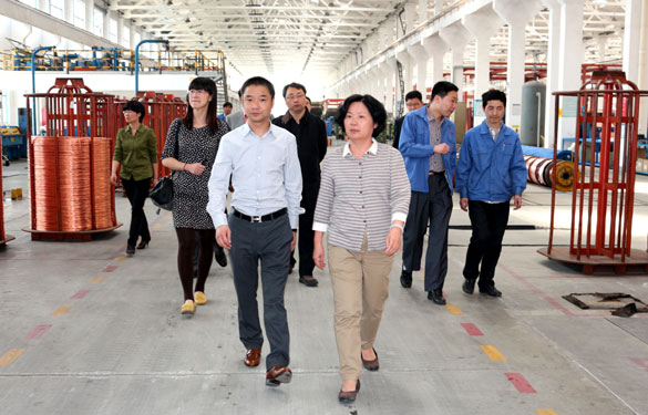 江苏省环保厅总工程师刘建琳来新宝GG集团调研