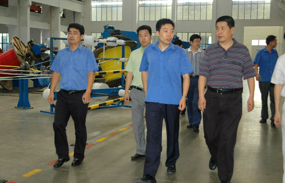 淮南市王市长一行来新宝GG旅行考察