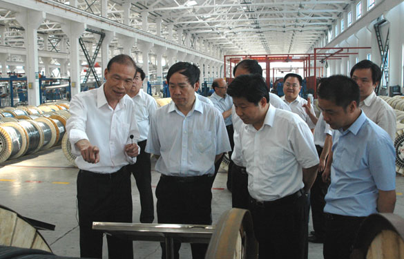 江苏省省长助理、省科技厅厅长徐南平来新宝GG集团调研