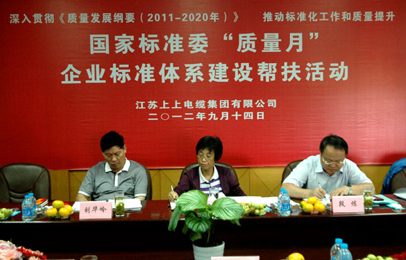 国标委“质量月”专家组到新宝GG检查指导事情