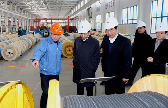 12月3日，，，，，，无锡市锡山区党政代表团一行来新宝GG电缆旅行考察