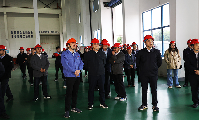 安徽池州青阳县党政代表团一行来新宝GG电缆考察