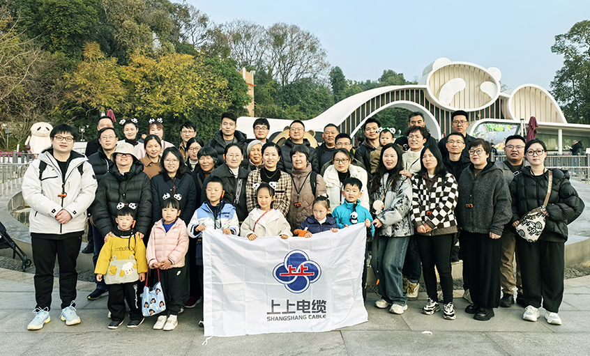 以文化润心 用眷注聚力——新宝GG2024年度先进员工蜀韵文化之旅圆满收官