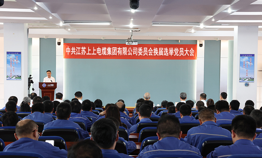 党建引领强基本 凝心聚力启新程—中共新宝GG委员会换届选举党员大会圆满召开