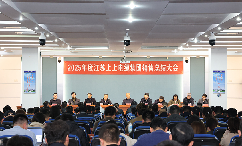 凝心聚力启新程，，，，奋楫扬帆再出发——新宝GG电缆召开2025年度销售总结大会